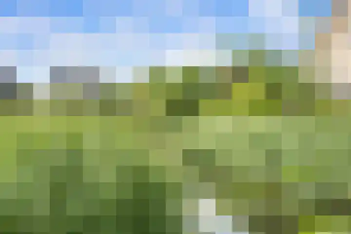 Saffierlaan 17 Rhoon thumbnail 56
