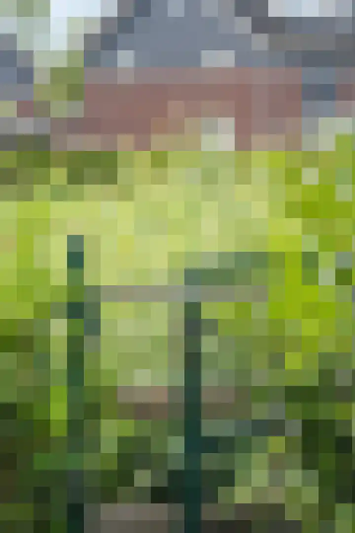 Saffierlaan 17 Rhoon thumbnail 59