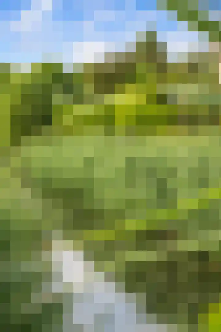 Saffierlaan 17 Rhoon thumbnail 60