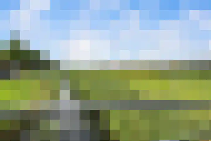 Saffierlaan 17 Rhoon thumbnail 61