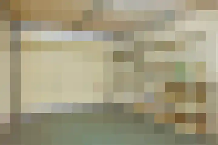 Saffierlaan 55 A Utrecht thumbnail 36