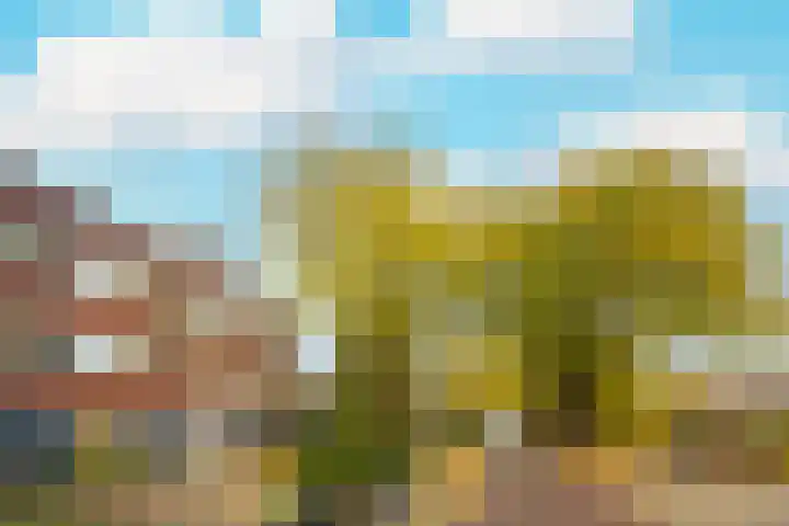 Saffierlaan 55 A Utrecht thumbnail 38