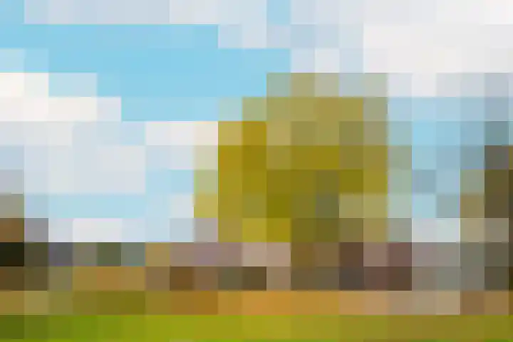 Saffierlaan 55 A Utrecht thumbnail 39