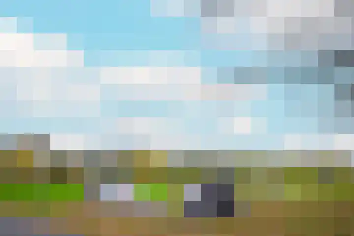 Saffierlaan 55 A Utrecht thumbnail 48