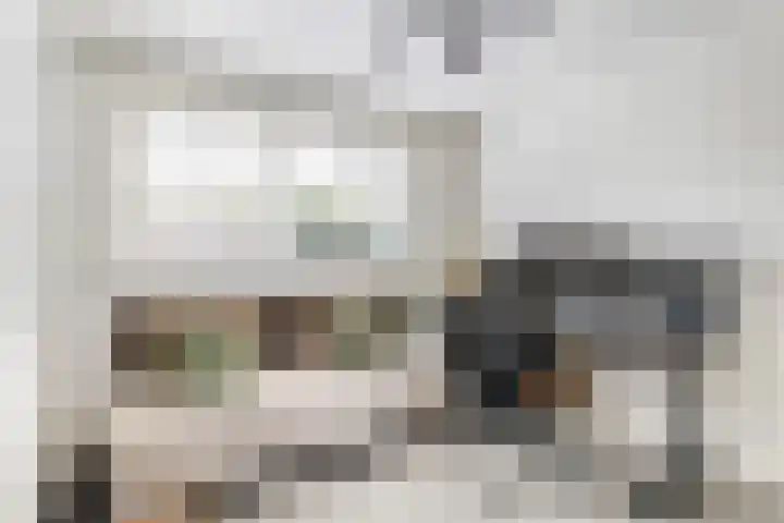 Saffierlaan 57 Utrecht thumbnail 11