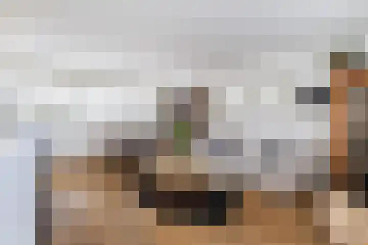 Saffierlaan 57 Utrecht thumbnail 14