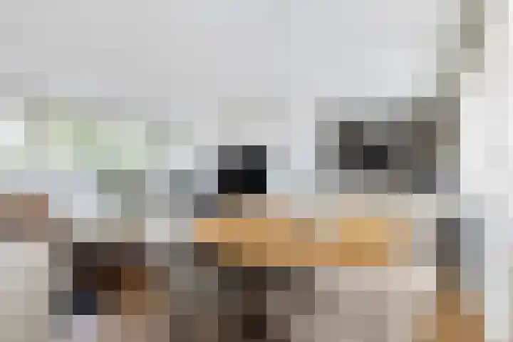 Saffierlaan 57 Utrecht thumbnail 20