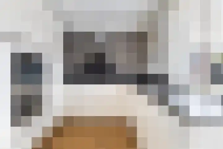 Saffierlaan 57 Utrecht thumbnail 21