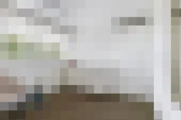 Saffierlaan 57 Utrecht thumbnail 28