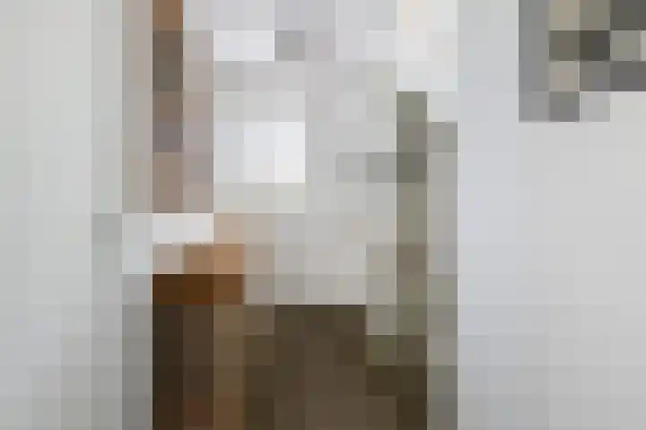 Saffierlaan 57 Utrecht thumbnail 32
