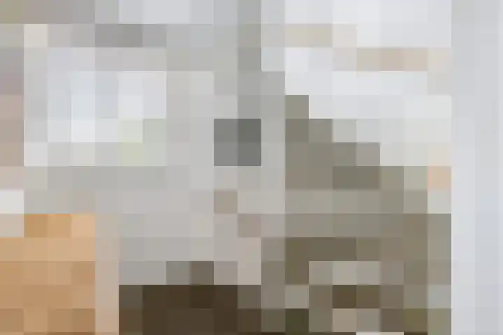 Saffierlaan 57 Utrecht thumbnail 33