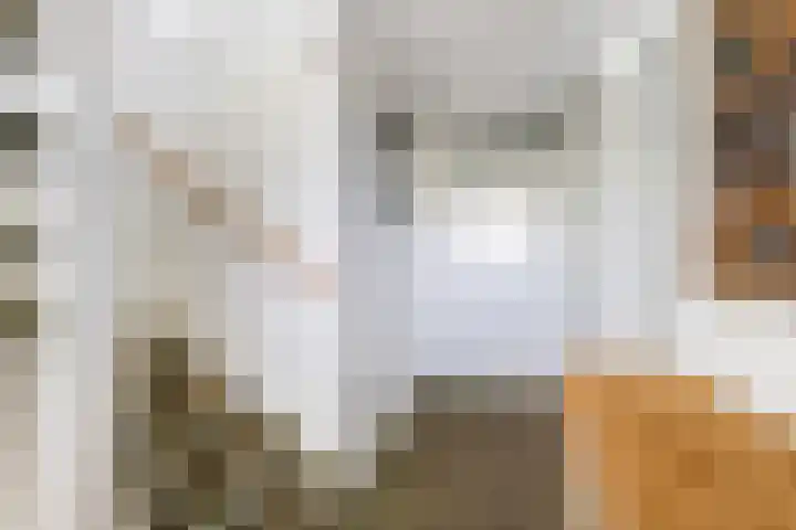 Saffierlaan 57 Utrecht thumbnail 34