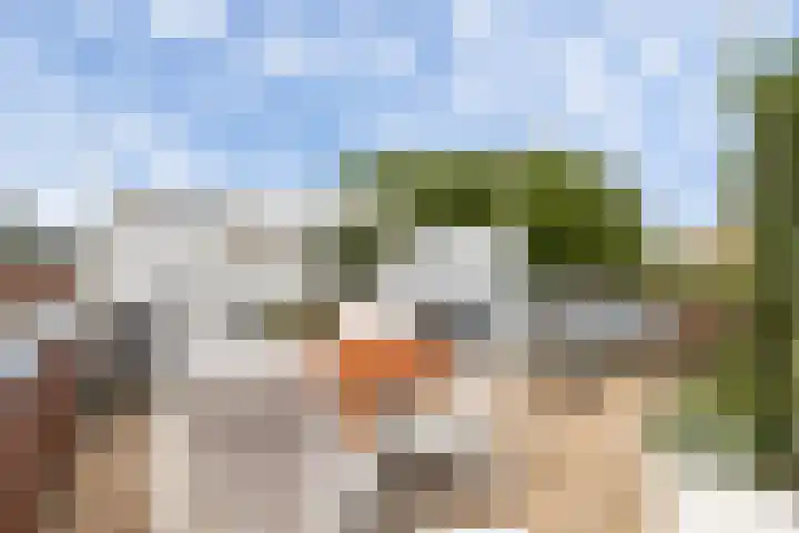 Saffierlaan 57 Utrecht thumbnail 39