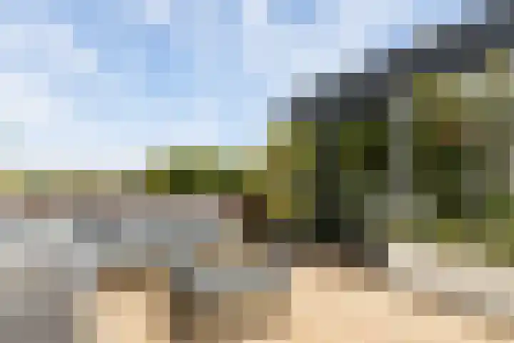 Saffierlaan 57 Utrecht thumbnail 41