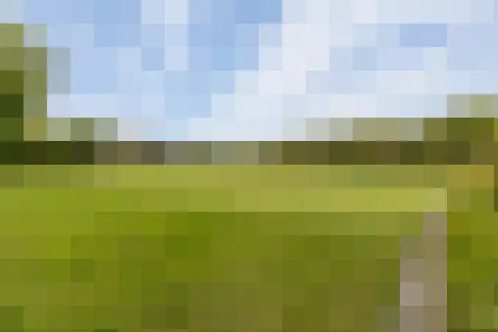 Saffierlaan 57 Utrecht thumbnail 51