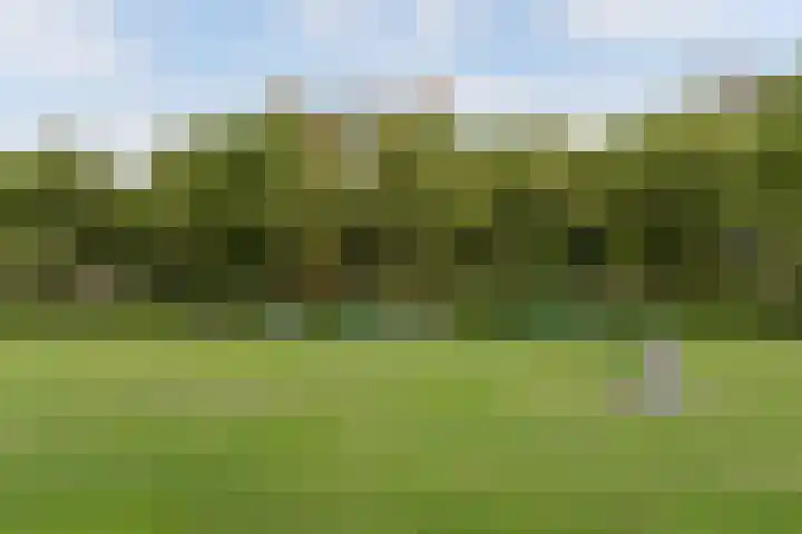 Saffierlaan 57 Utrecht thumbnail 52
