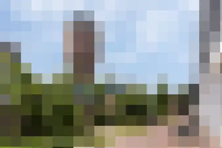 Saffierlaan 57 Utrecht thumbnail 54