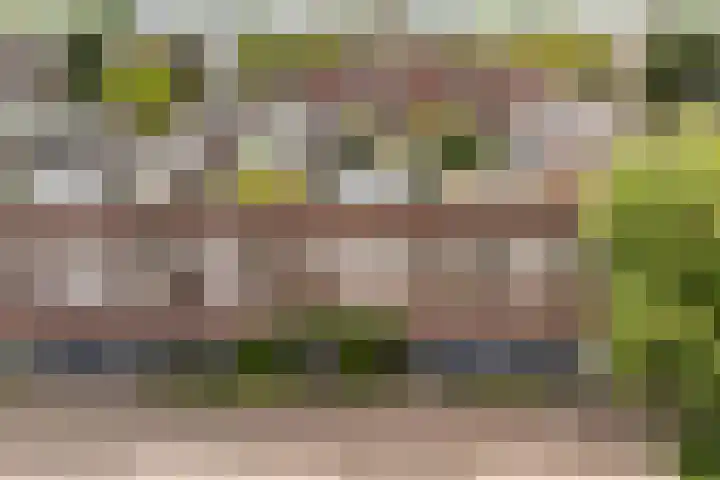 Saffierlaan 57 Utrecht thumbnail 55