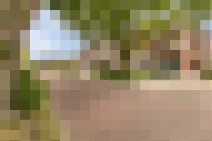 Saffierlaan 57 Utrecht thumbnail 56
