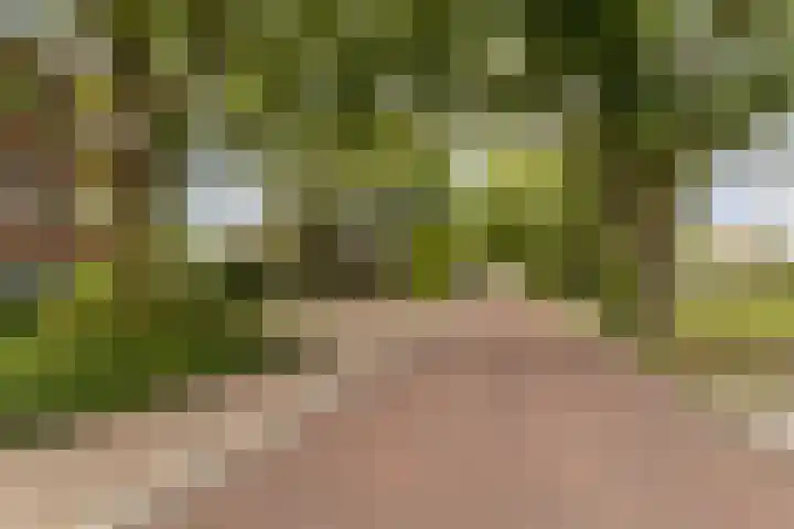 Saffierlaan 57 Utrecht thumbnail 6