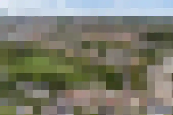 Saffierlaan 57 Utrecht thumbnail 60