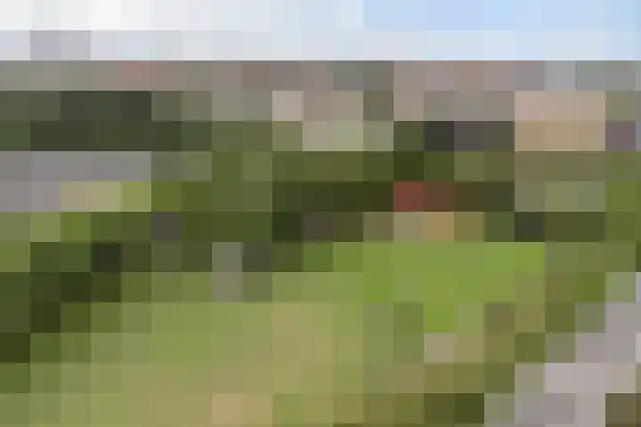 Saffierlaan 57 Utrecht thumbnail 61