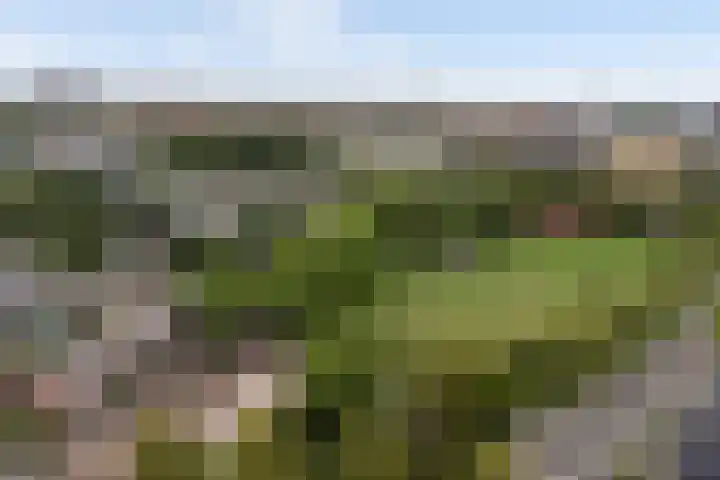 Saffierlaan 57 Utrecht thumbnail 62