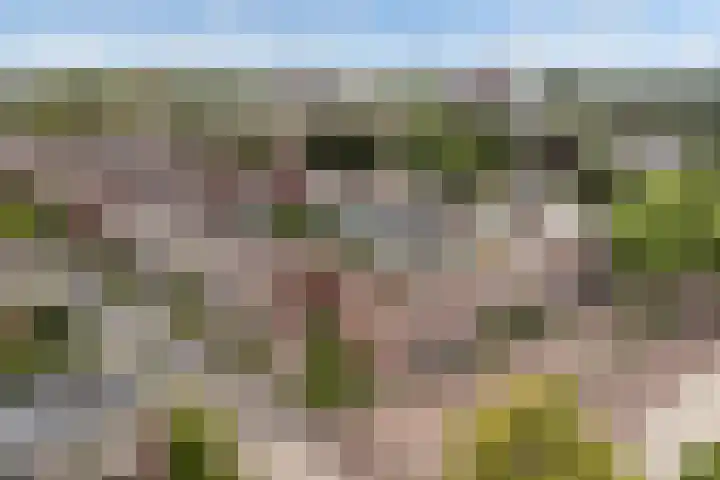 Saffierlaan 57 Utrecht thumbnail 63