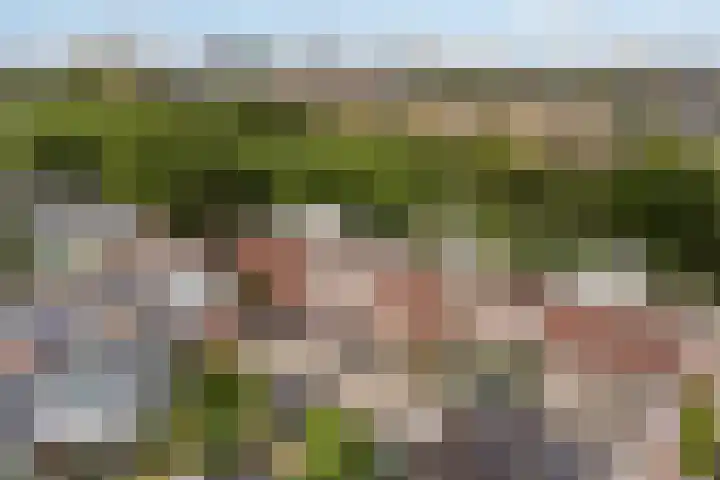 Saffierlaan 57 Utrecht thumbnail 64