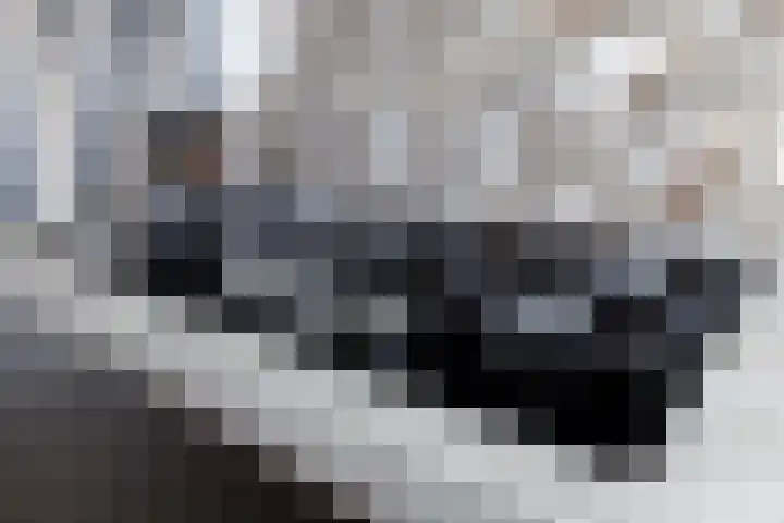 Saffierlaan 84 Rhoon thumbnail 18