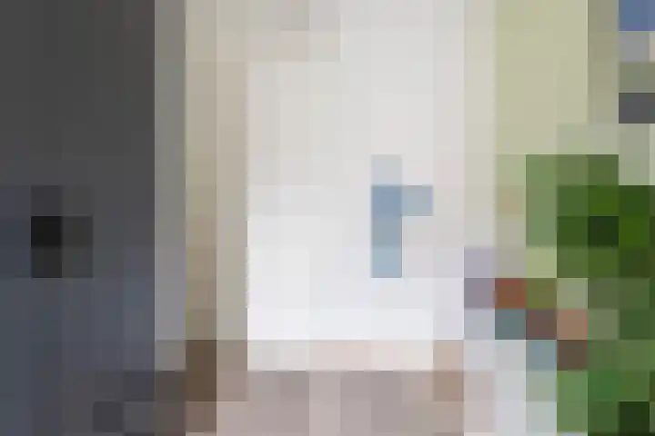 Saffierlaan 84 Rhoon thumbnail 23