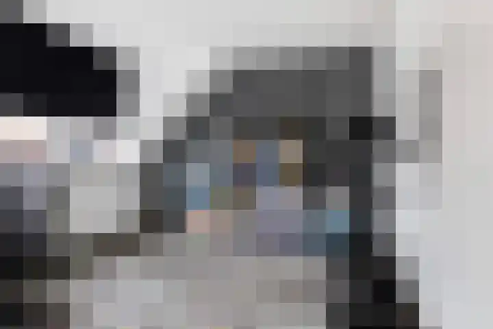 Saffierlaan 84 Rhoon thumbnail 32