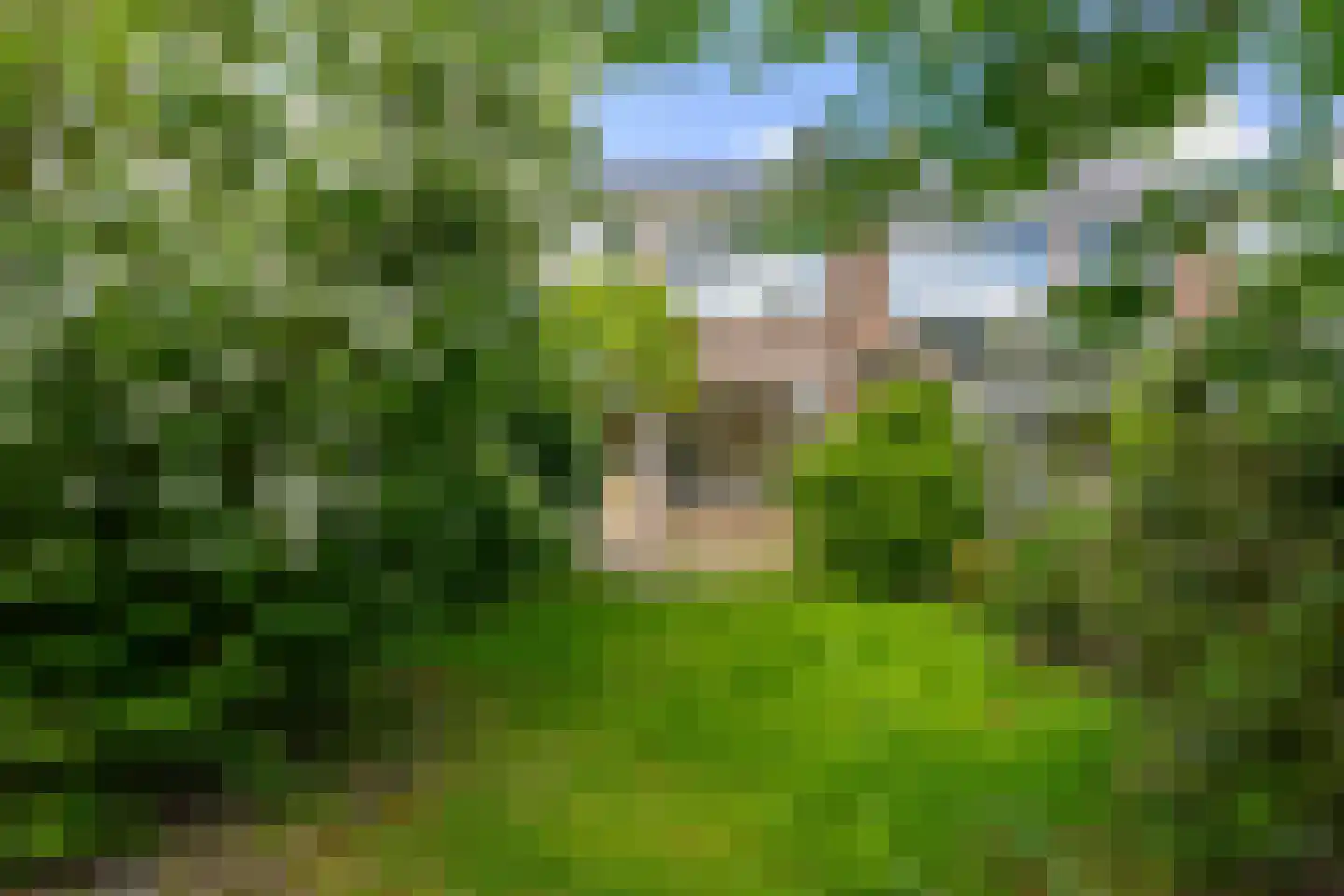 Saffierlaan 9 Utrecht thumbnail 10
