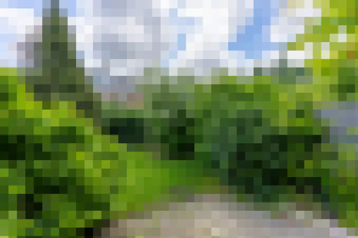 Saffierlaan 9 Utrecht thumbnail 8