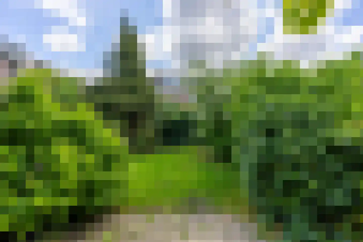 Saffierlaan 9 Utrecht thumbnail 9