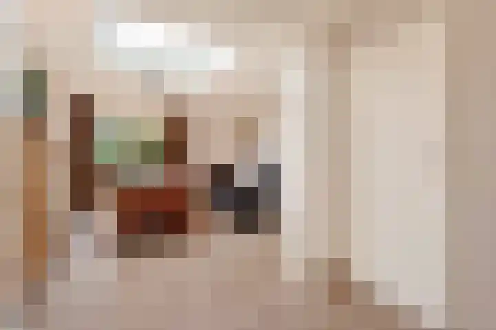 Saffierstoep 31 Assen thumbnail 20