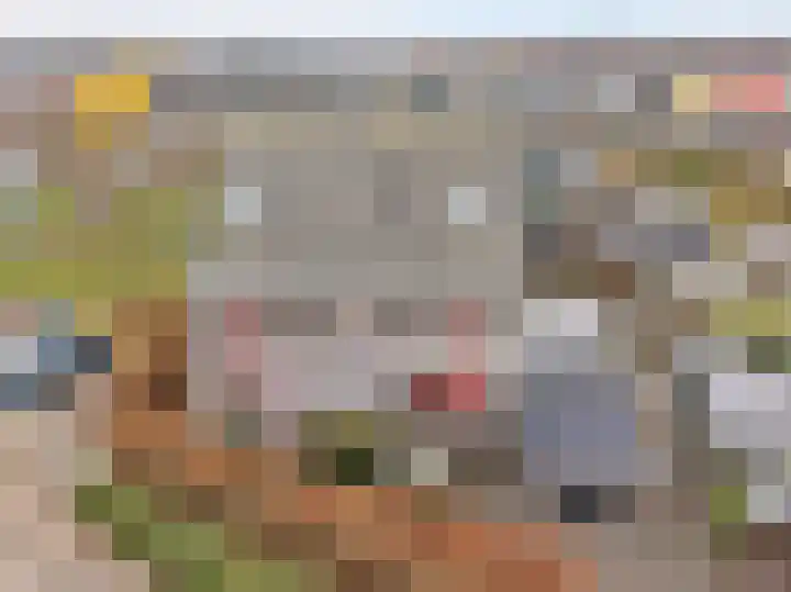 Saffierstoep 31 Assen thumbnail 4