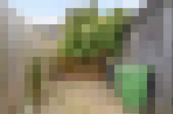 Saffierstoep 31 Assen thumbnail 49