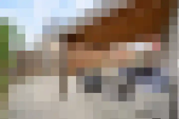 Saffierstoep 31 Assen thumbnail 51