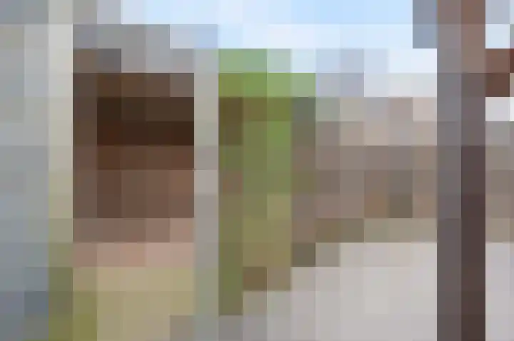 Saffierstoep 31 Assen thumbnail 58