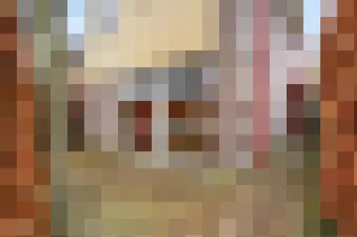 Saffierstoep 31 Assen thumbnail 64
