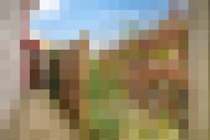 Saffierstoep 31 Assen thumbnail 67