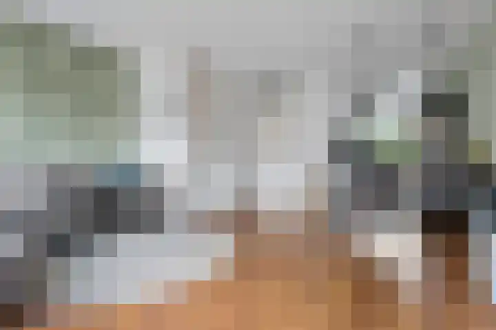Saffierstoep 44 Assen thumbnail 11