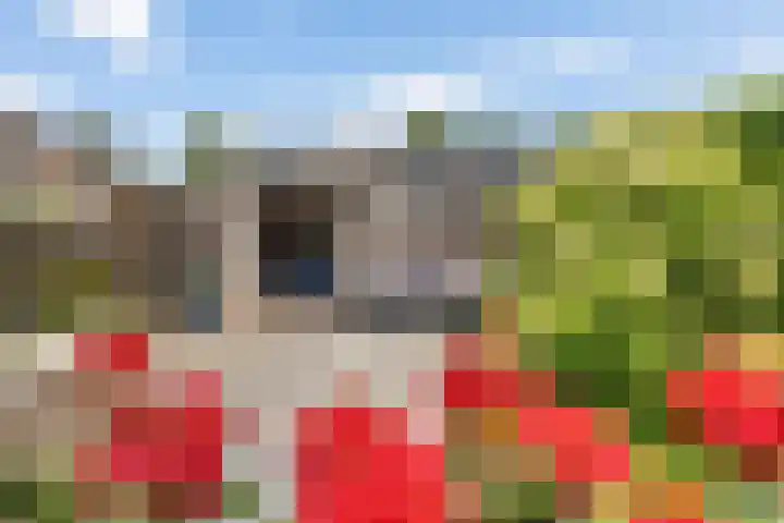 Saffierstoep 44 Assen thumbnail 31