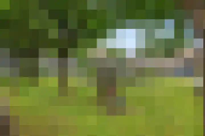Saffierstoep 44 Assen thumbnail 38