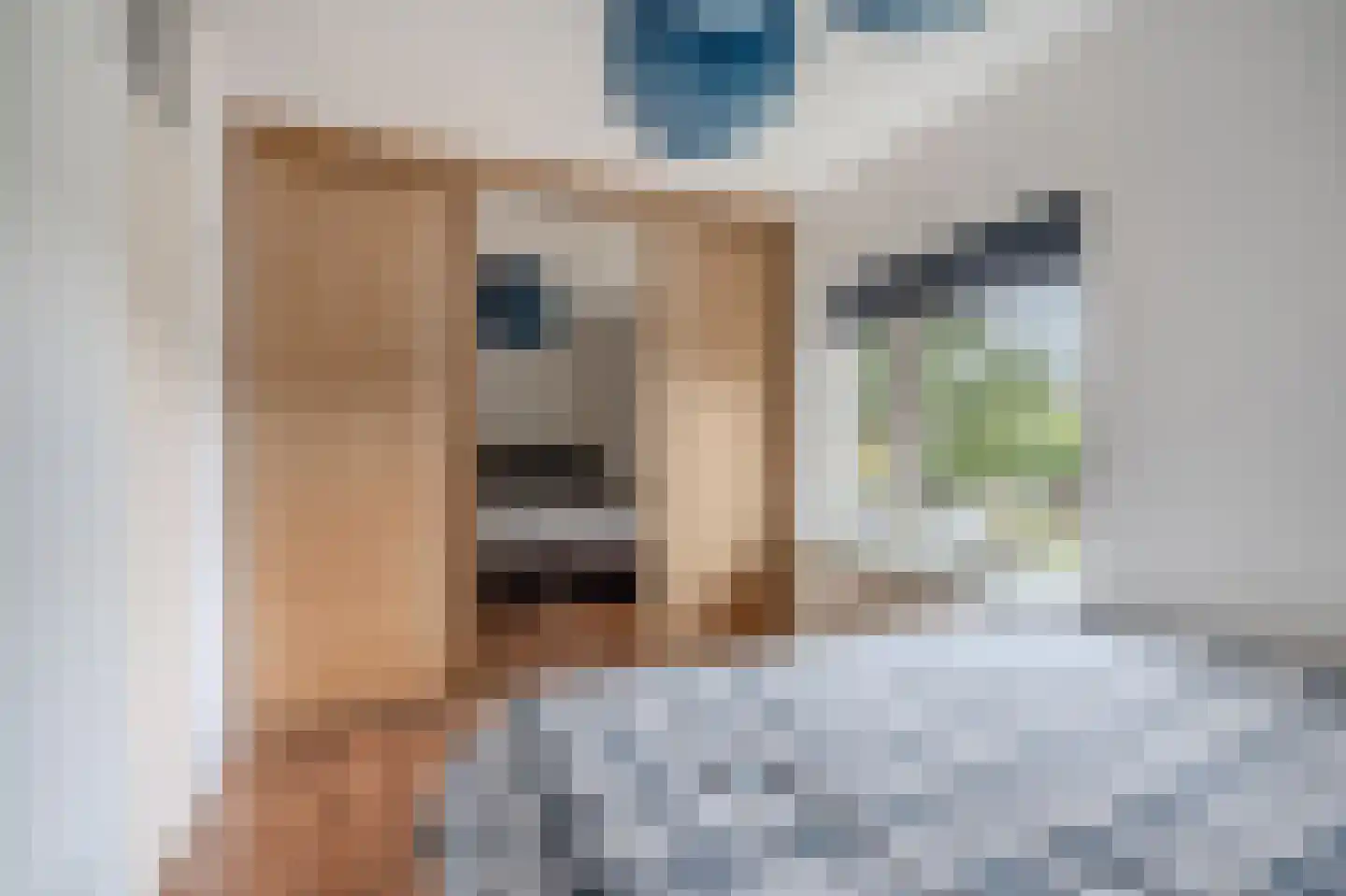 Saffierstoep 62 Assen thumbnail 26