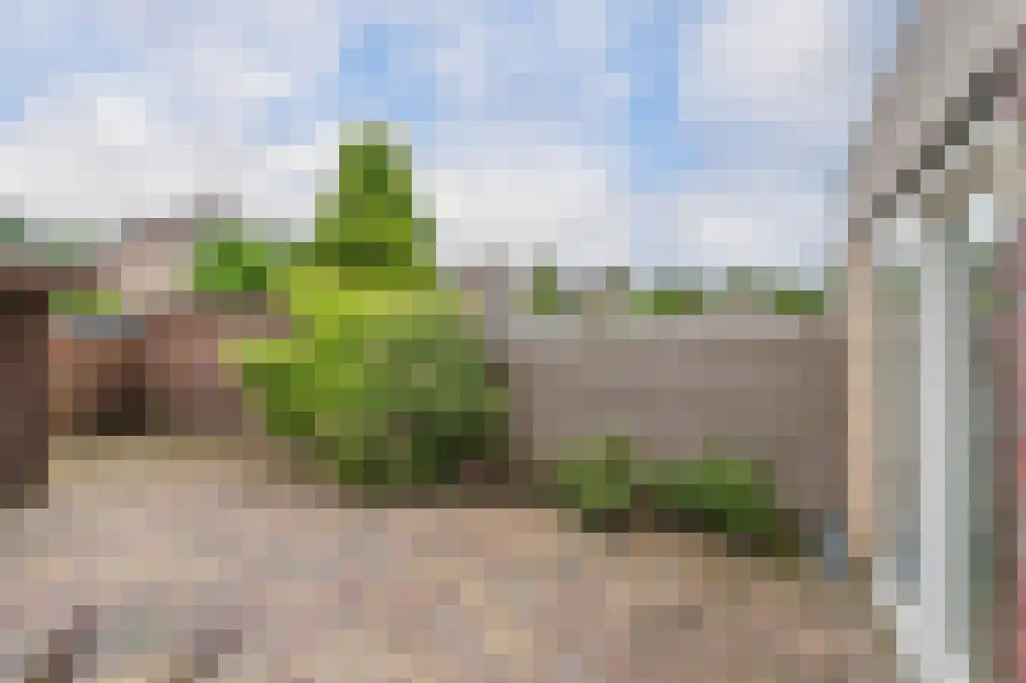 Saffierstoep 62 Assen thumbnail 34