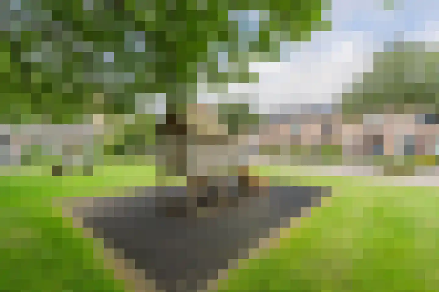 Saffierstoep 62 Assen thumbnail 43