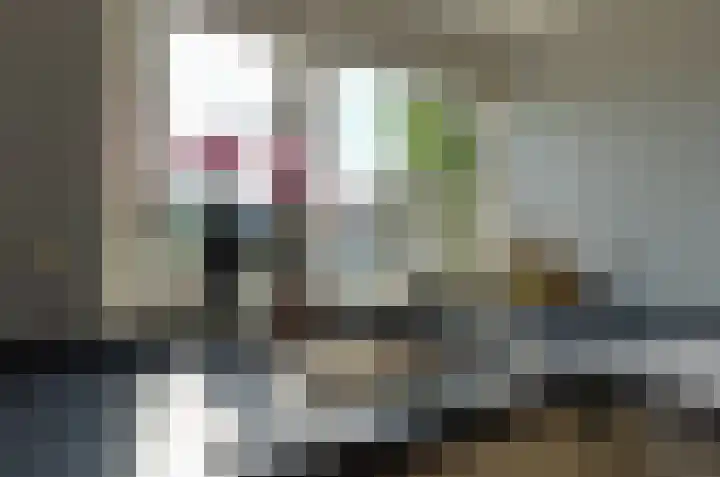 Saffierstoep 88 Assen thumbnail 10
