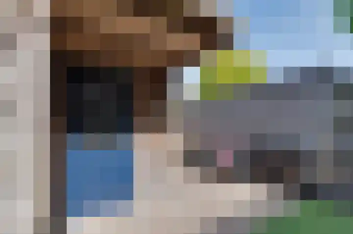 Saffierstoep 88 Assen thumbnail 24